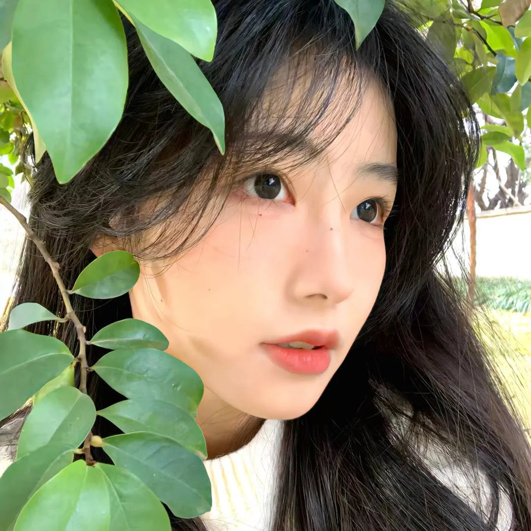 荡女满天飞